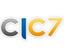 fnatic чемпионы CIC7